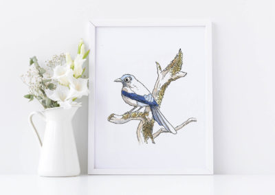 illustration oiseau aquarelle